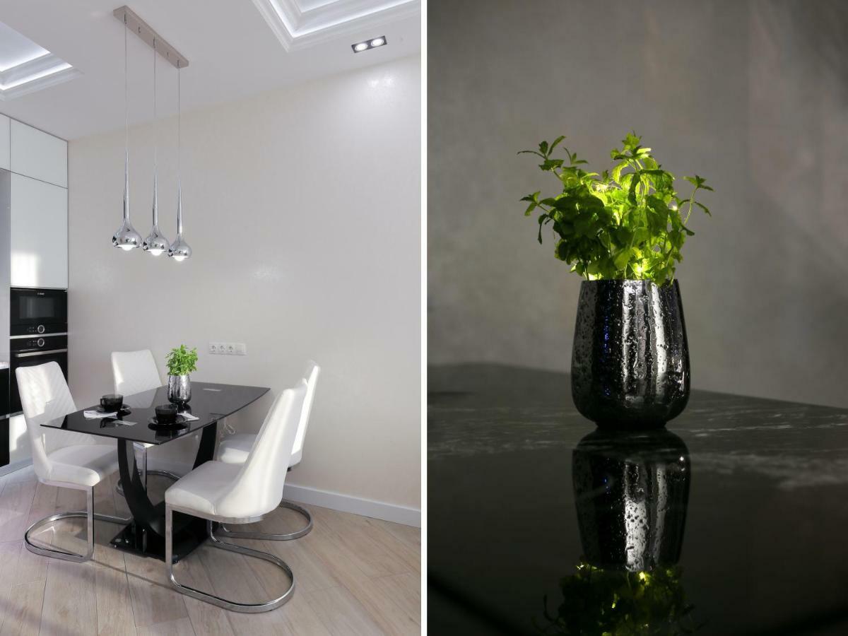 Black&White Apartment In Smart Plaza キエフ エクステリア 写真